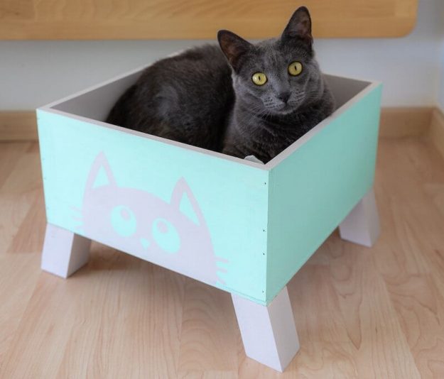 vinilo-plantilla-pintura-tiza plantilla de vinilo sobre pintura a la tiza